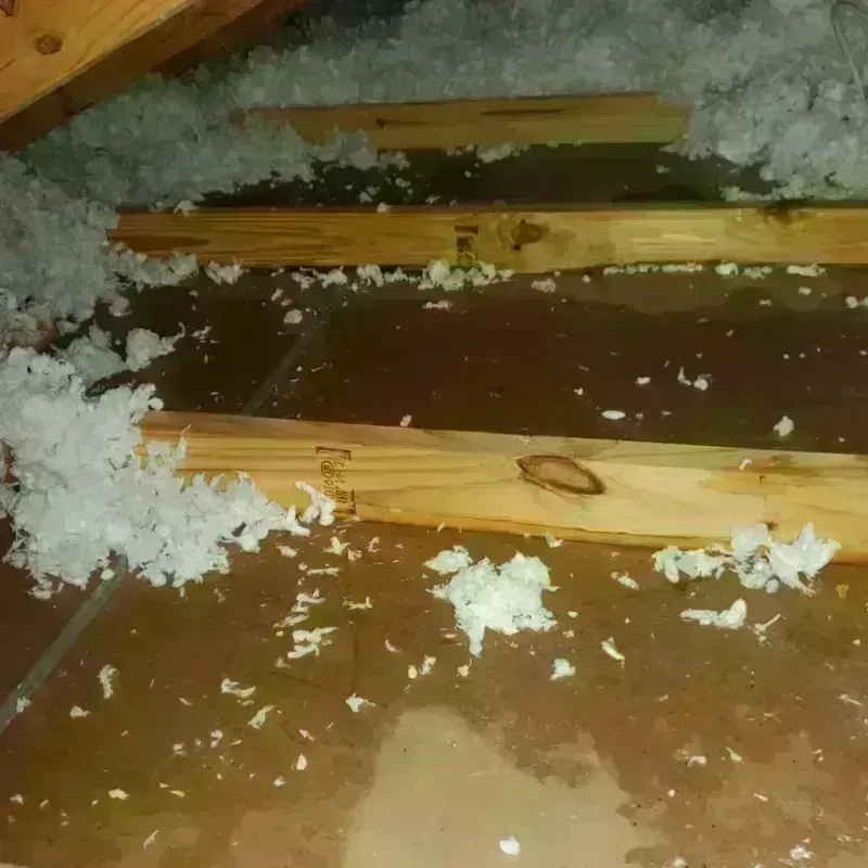 Attic Water Damage in Decatur, AR