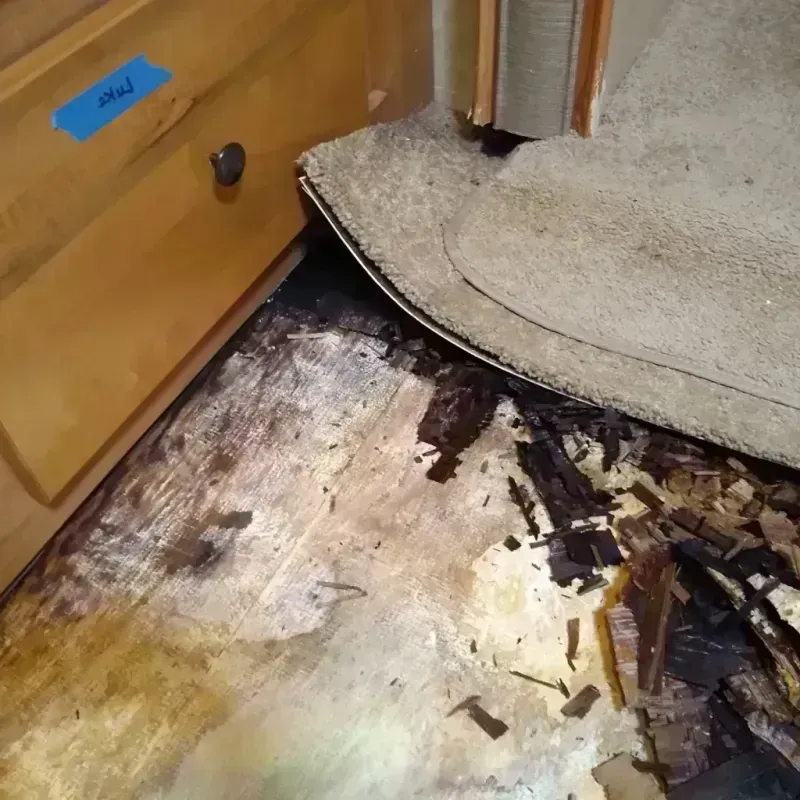 Wood Floor Water Damage in Decatur, AR